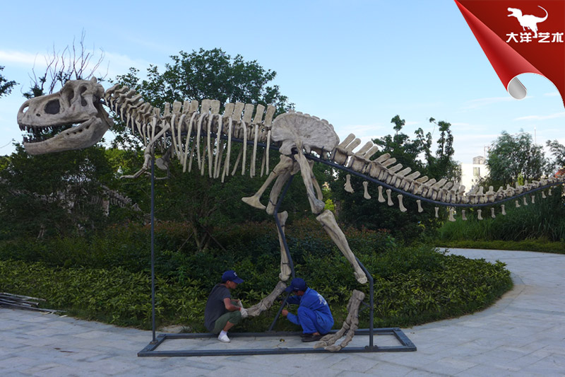 仿真骨架標本模型-動物骨架